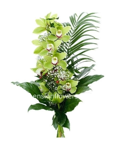 Elegante ramo di orchidea Cymbidium verde con foglie decorative