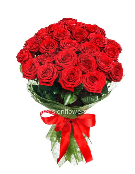24 rose rosse gambo lungo 70-80cm circa
