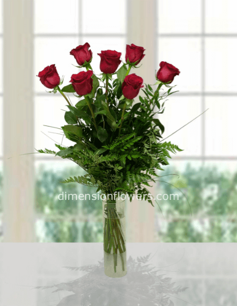 7 rose rosse gambo lungo 70-80cm(senza vaso)
