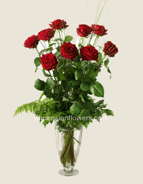 9 rose rosse gambo lungo 70cm circa