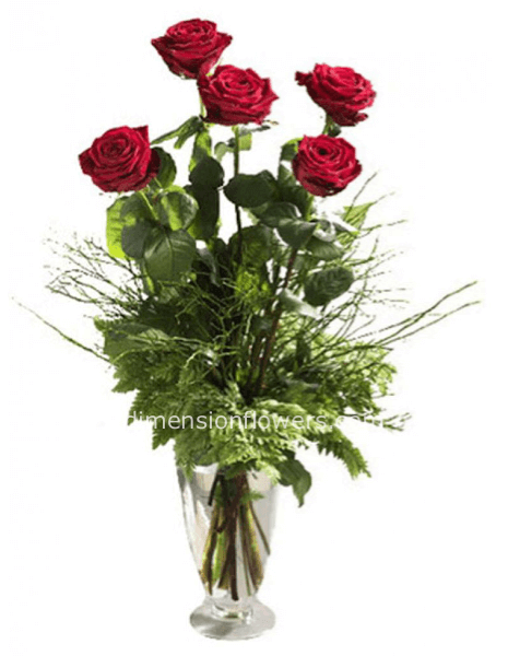 5 rose rosse gambo lungo 70cm circa