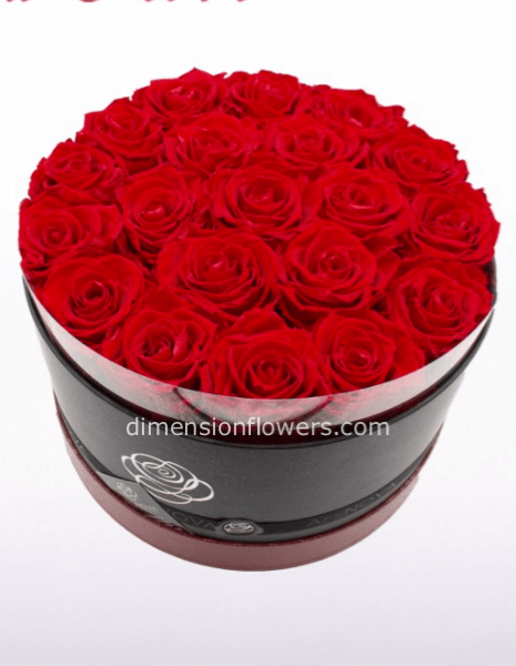 flowerbox royal 12 rose rosse stabilizzate profumate D. cm20