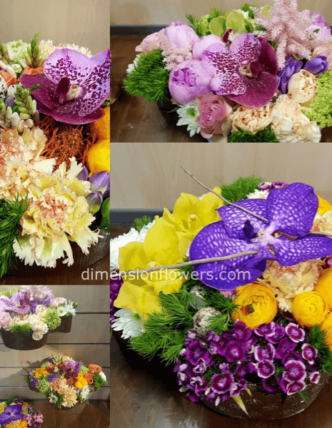 colomba Pasquale fiorita media