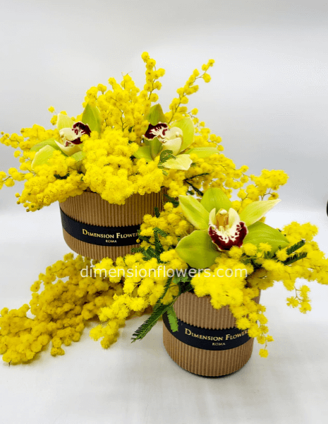 cappelliera special 8 Marzo festa della donna con 1 orchidea